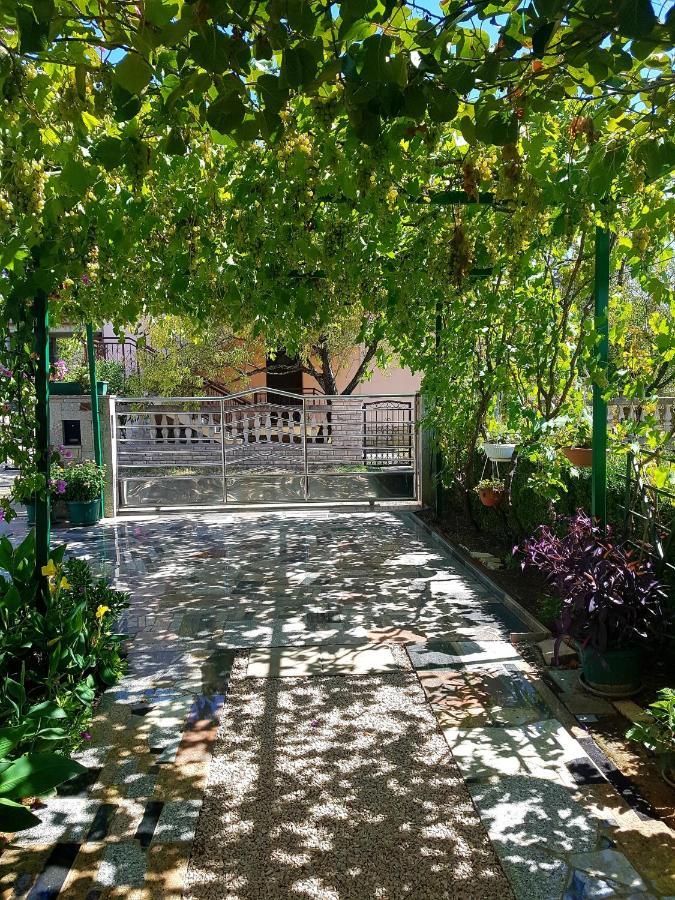 Apartments Petar & Anka Biograd Na Moru Εξωτερικό φωτογραφία